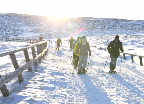 朝日を背に浴びつつ雪道を登る。雲海への期待に気持ちが高鳴る