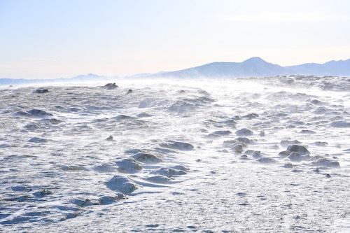 容赦なく雪煙が吹き付ける。寒いよりも痛い感覚が大きい。雲海はいかに!?